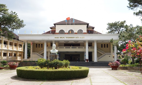 Đại học Yersin Đà Lạt : vươn đến công dân toàn cầu