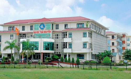 Liên thông Đại học Thái Nguyên năm 2024 mới nhất